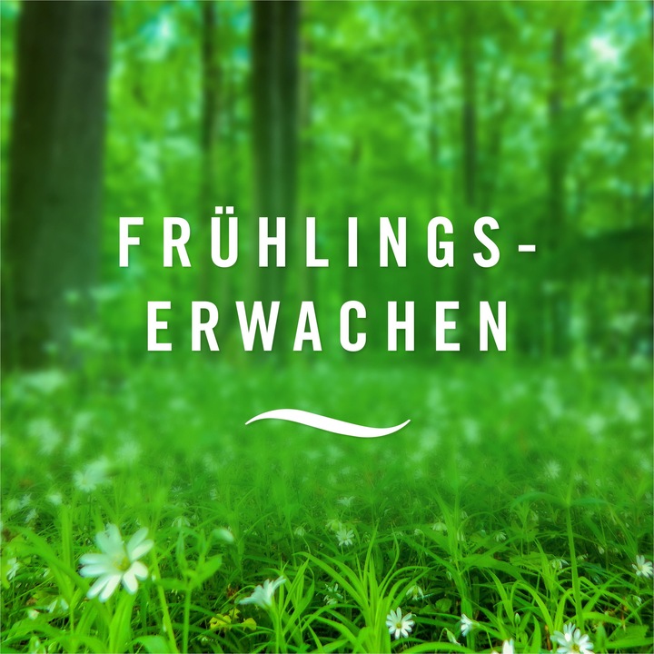 Actual product image Febreze Spring Awakening Air Freshener Spray