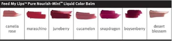 Produktbild Aveda Feed My Lips Pure Nourish Mint Liquid Color Balm Maraschino