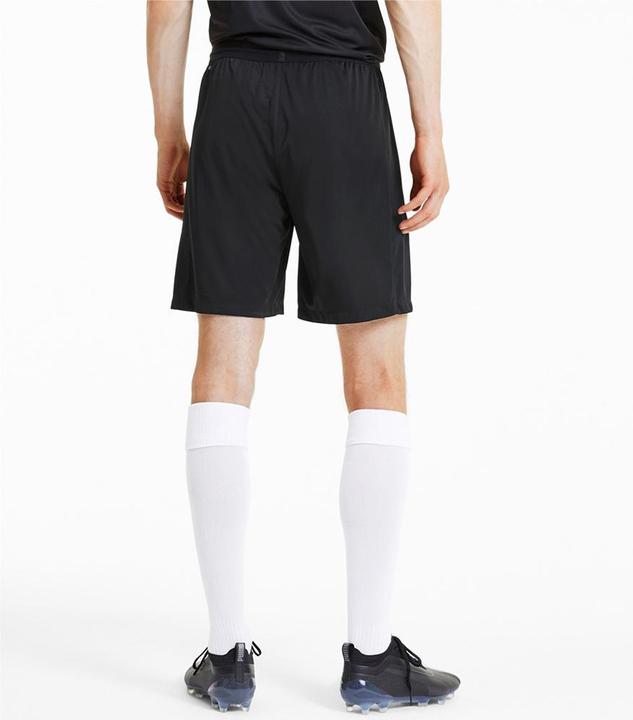 Produktbild Puma teamFINAL 21 knit Shorts-704257 (3XL)