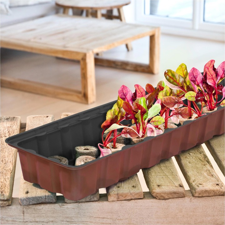 Actual product image Windhager Window sill greenhouse