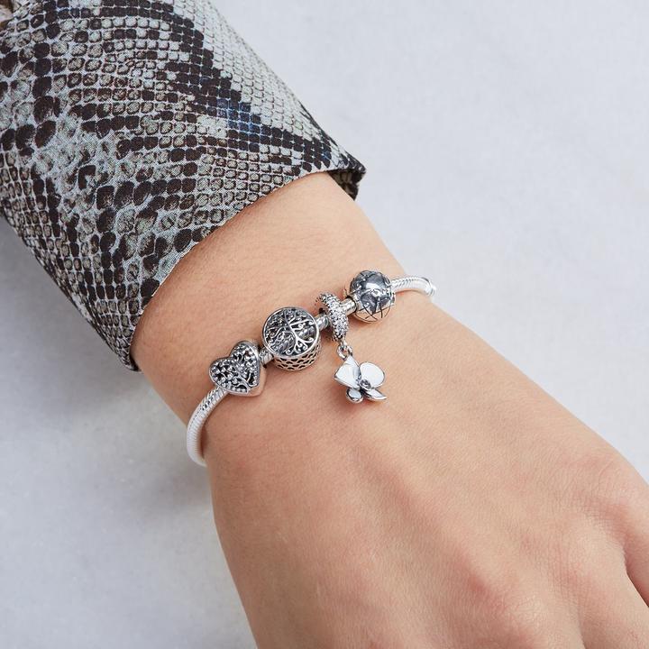 Immagine prodotto Pandora Albero di famiglia (Argento)