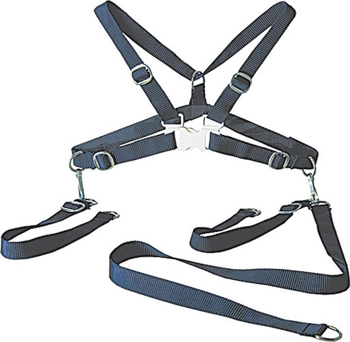 Actual product image Sunnybaby Child safety harness