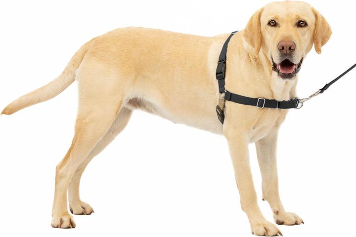 Immagine prodotto PetSafe Easy Walk (L, Cane, Passeggiare)