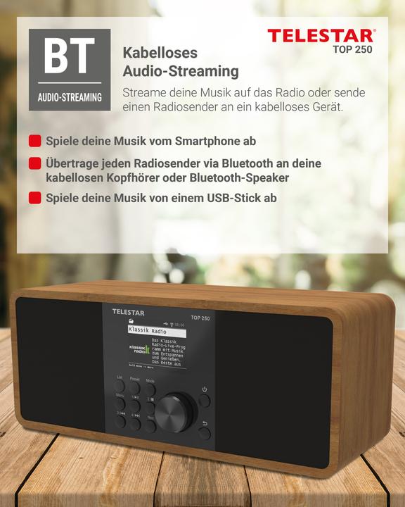 Actual product image Telestar Top 250 (DAB+, FM, Web radio, Bluetooth, Wi-Fi)