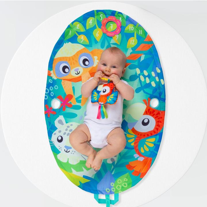Actual product image Playgro Mighty Milestones Play Gym (10188673)