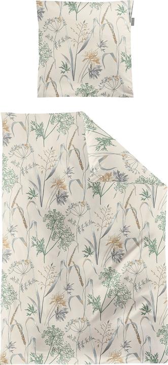 Irisette Edel-Feinbiber Bettwäsche Koala natur 8425 (135 x 200 cm, 80 x 80 cm)