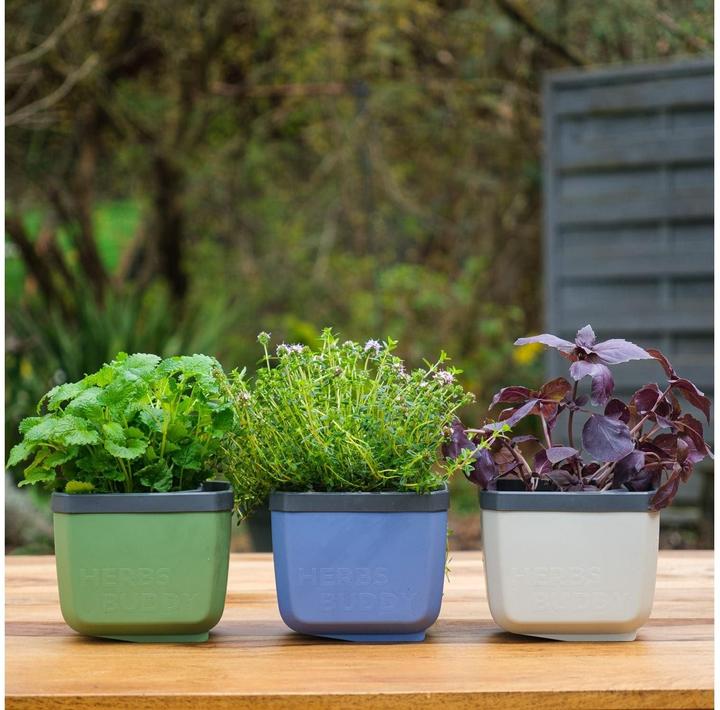 Actual product image Gusta Garden Herbs Buddy