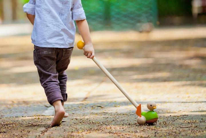 Actual product image Plantoys Duck for poking