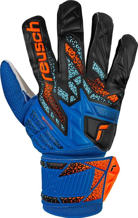 Produktbild Reusch Attrakt Solid (9)