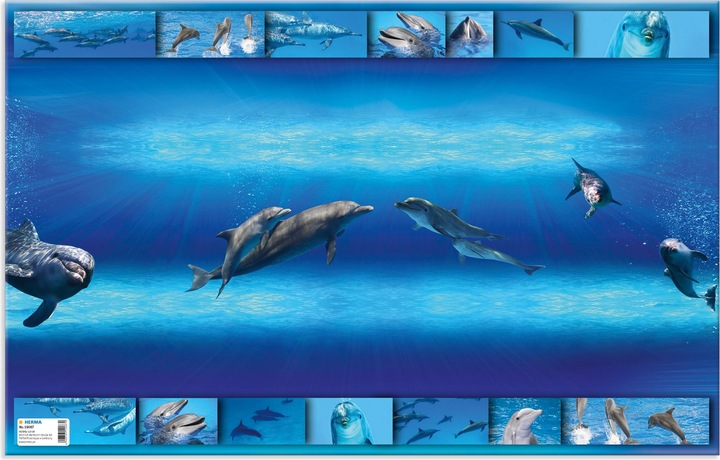 Image du produit Herma Sous-mains (1 x 35.5 x 55.5 cm)