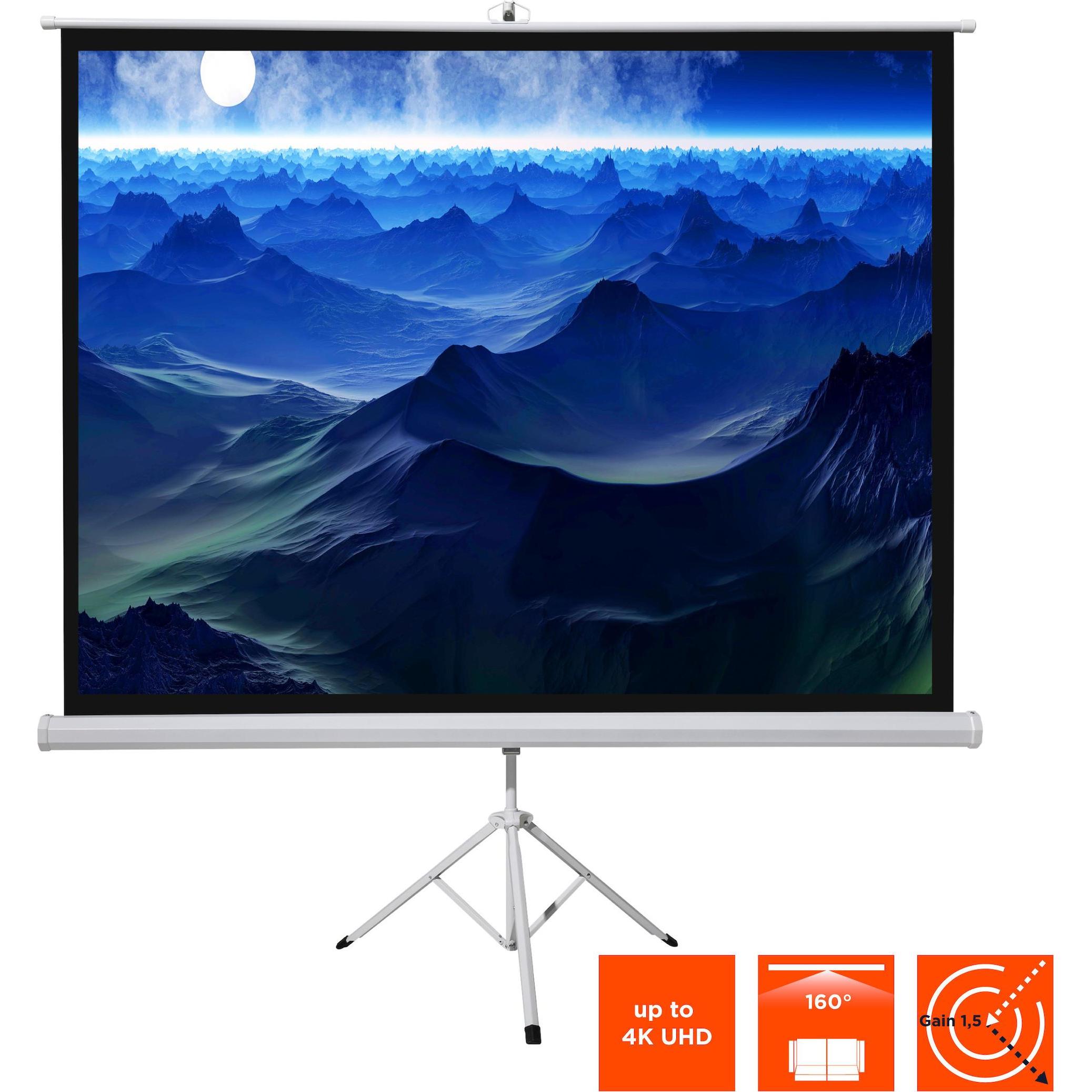 Celexon basic mobile Beamer-Stativ-Leinwand in wenigen Minuten Auf-/Abgebaut - optimal für Heimkino (200", 1:1), Leinwan...