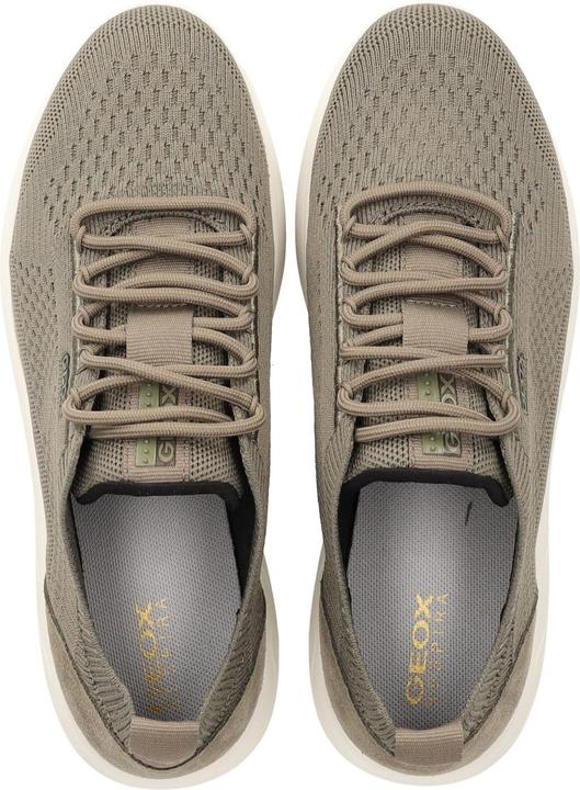 Actual product image Geox Sneaker (38)