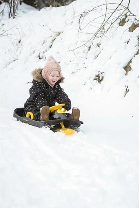 Produktbild dantoy Steering Sled