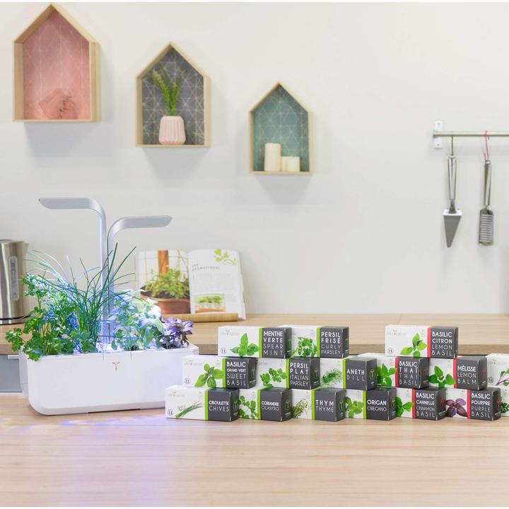 Actual product image Véritable Bio-Petersilie (glatt) (Herb seeds)