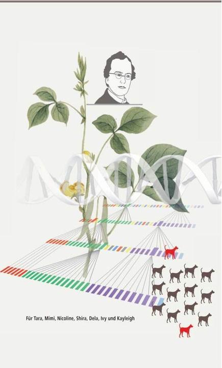 Image du produit Rassehundezucht (Allemand, Irene Sommerfeld-Stur, 2024)