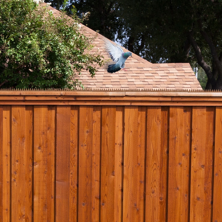 Actual product image Relaxdays Bird repelling spikes