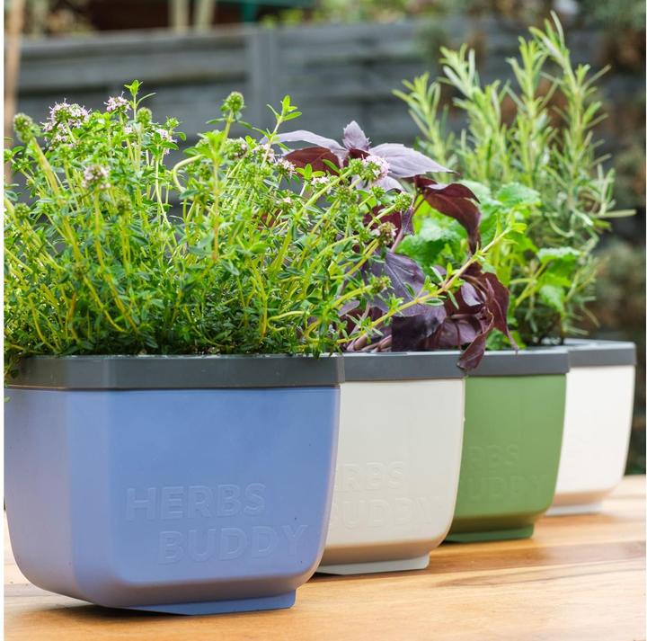 Produktbild Gusta Garden Herbs Buddy (14.90 x 16.30 x 14.50 cm)