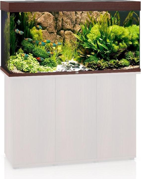 Image du produit Juwel Aquarium Rio (350 l)
