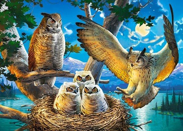 Produktbild Castorland Owl Family, Puzzle 180Teile (180 Teile)