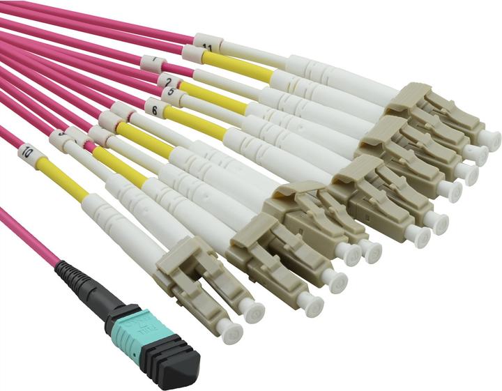 Image du produit Value Câble MPO-Fanout OM4 MPO/12xLC 2m (CAT6, 2 m)