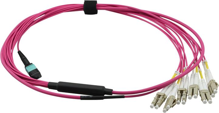 Image du produit Value Câble MPO-Fanout OM4 MPO/12xLC 2m (CAT6, 2 m)