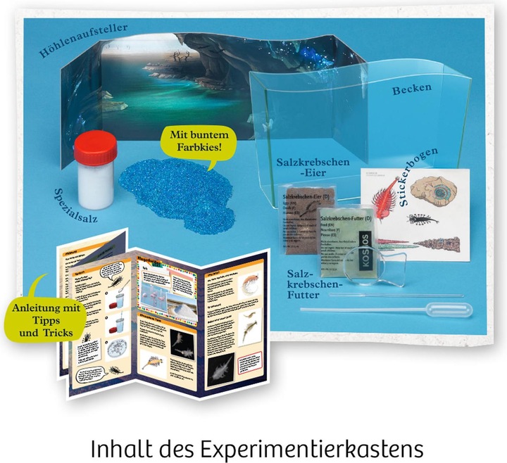 Produktbild Kosmos FunScience Wuselnde Salzkrebse