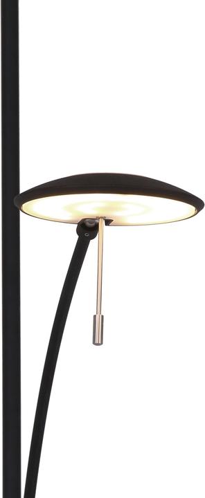 Immagine prodotto Steinhauer Zenith (2200 lm)