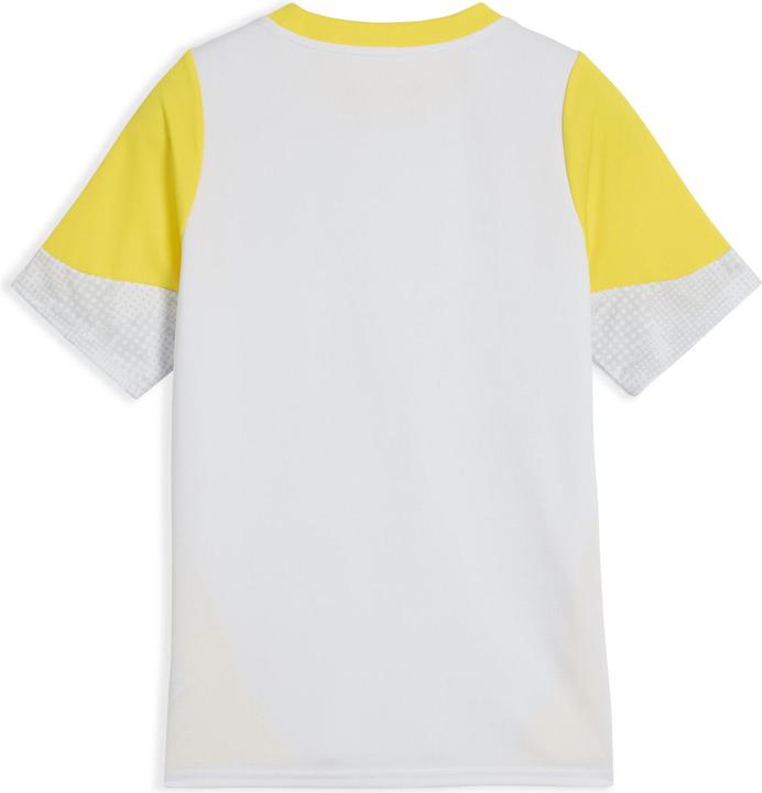 Actual product image Puma BVB Training Jersey Jr (164)