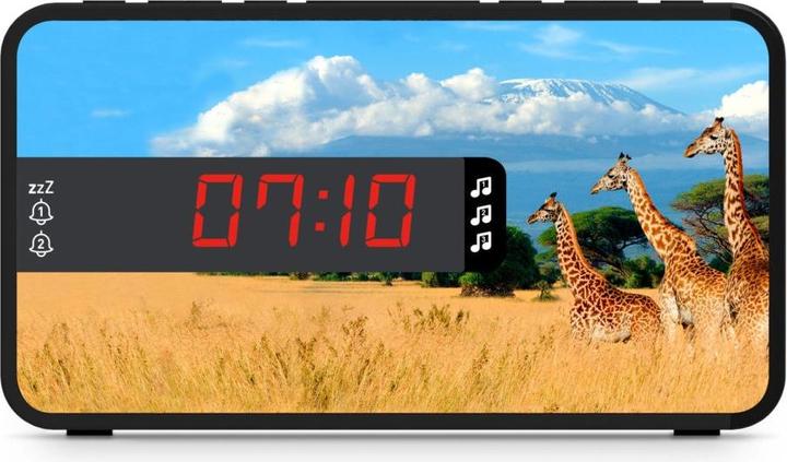 Actual product image Bigben Safari