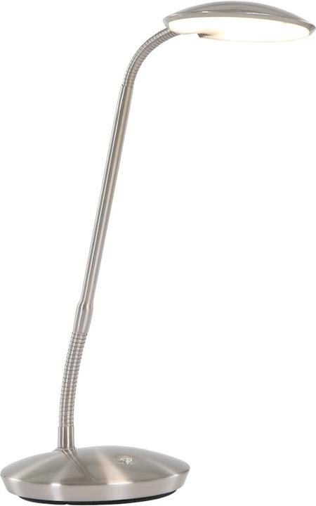 Image du produit Steinhauer Zenith (700 lm)