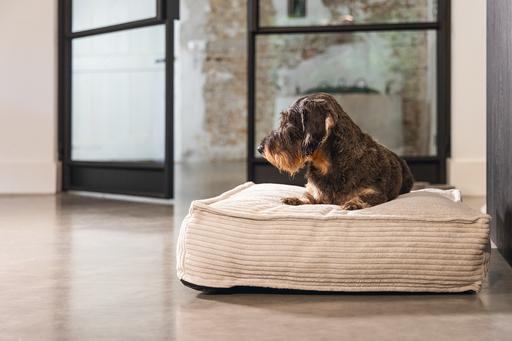 Produktbild Designed by Lotte Ribbed (Hund)