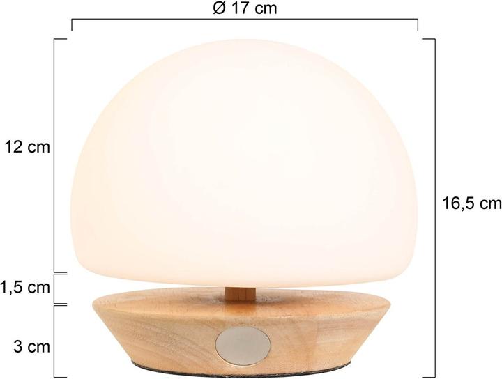 Produktbild Steinhauer Ancilla (300 lm, G9)