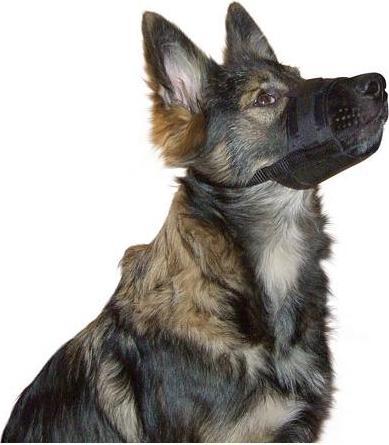 Immagine prodotto Kerbl Muso (Cane)