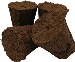 Actual product image Planta Plug Tray with 77 pcs.