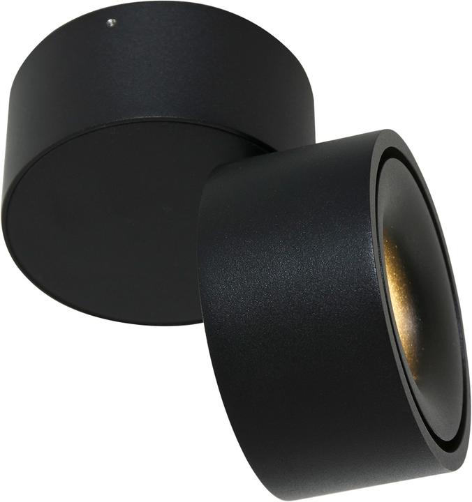 Produktbild Steinhauer Fez Black (600 lm)