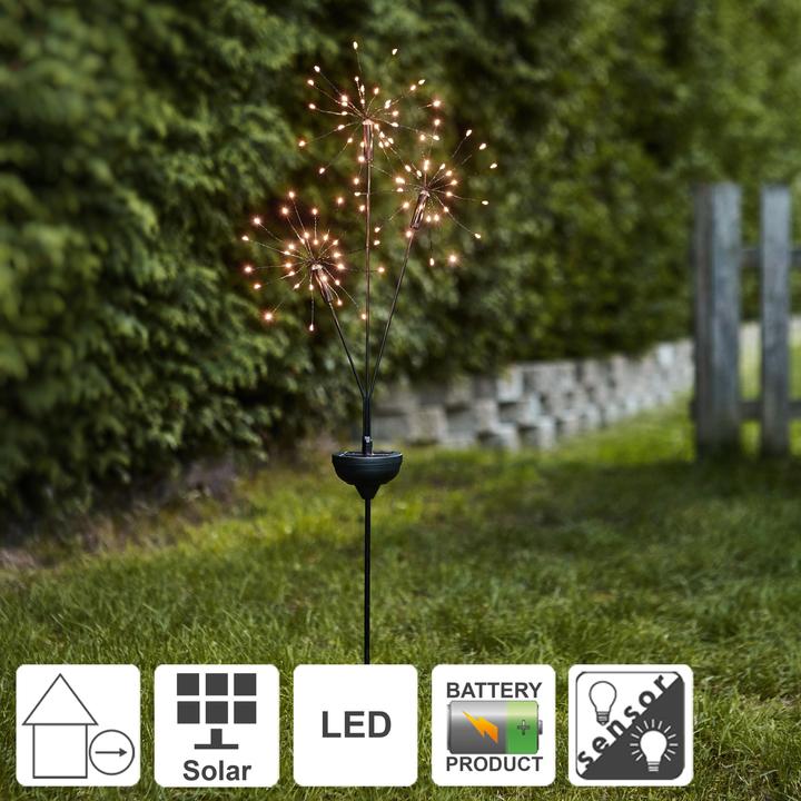 Image du produit Star Trading Firework (IP44)