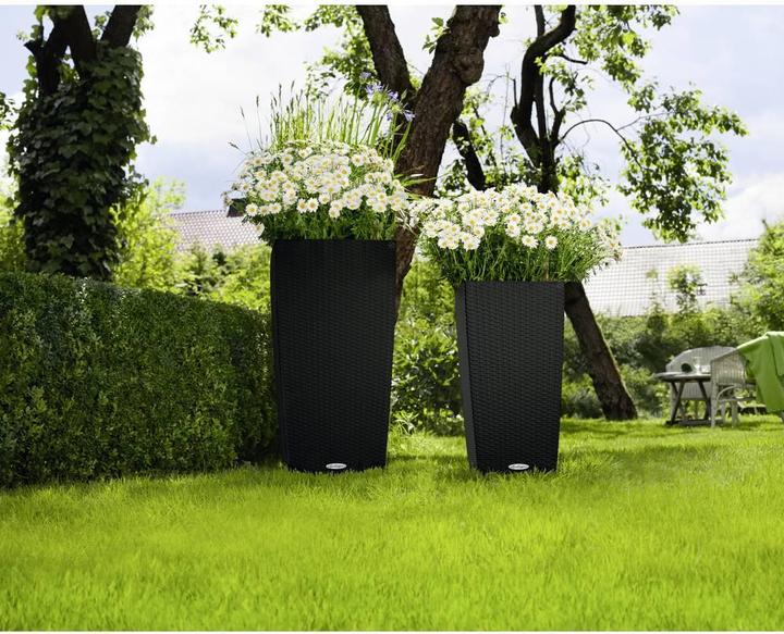 Immagine prodotto Lechuza Cubico Cottage (29.50 cm)