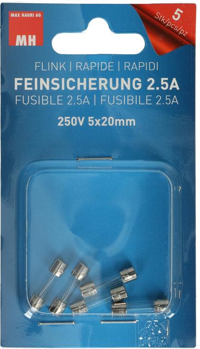 Max Hauri Feinsicherung Flink 2.5A 5 Stk. (Microfusible, 2.50 A, Agiles)
