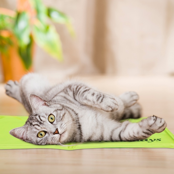 Immagine prodotto Relaxdays Tappetino refrigerante, cane (Cane)