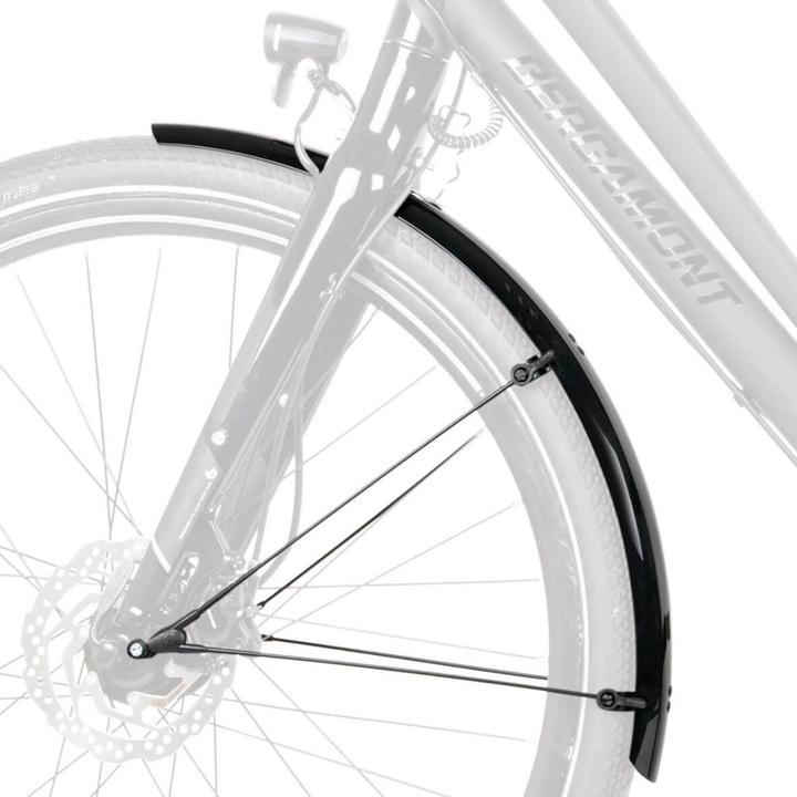 Actual product image SKS Bluemels (Mudguard set)