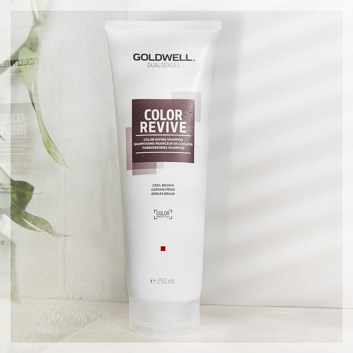 Image du produit Goldwell Shampooing Color Revive Color Giving Shampoo Cool Brown (Shampoing liquide, 250 ml)