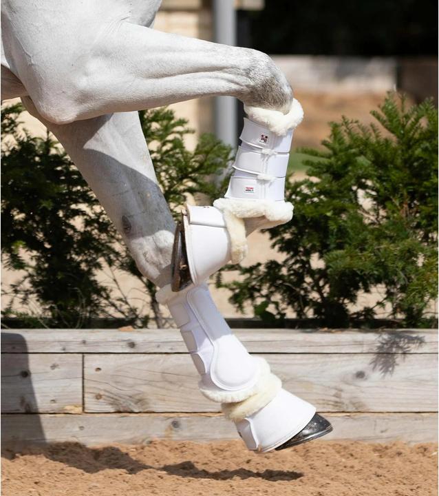 Produktbild Premier Equine Air-Tech Techno (XL)
