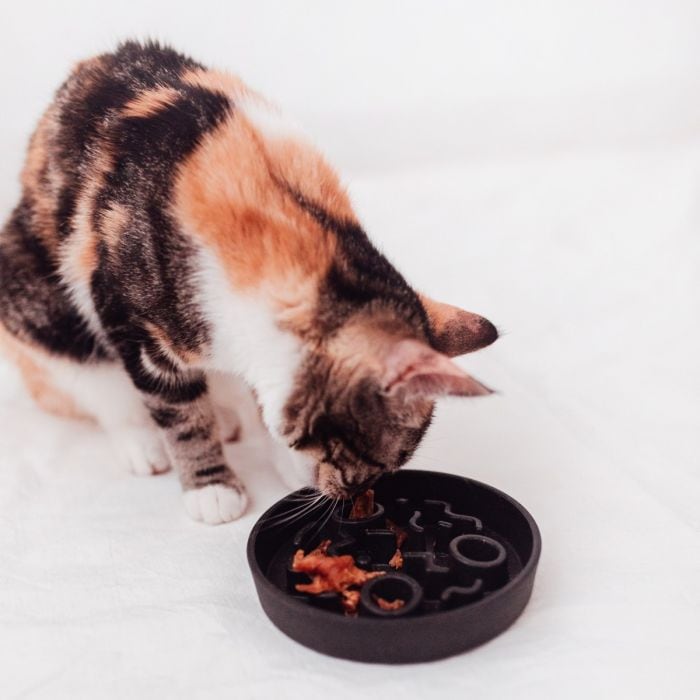 Actual product image District 70 District70 - BAMBOO Cat Slow Feeder Ø 13,5cm Dark Grey - (WA6961)