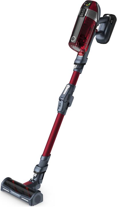 Actual product image Rowenta X-Force Flex 11.60 Animal