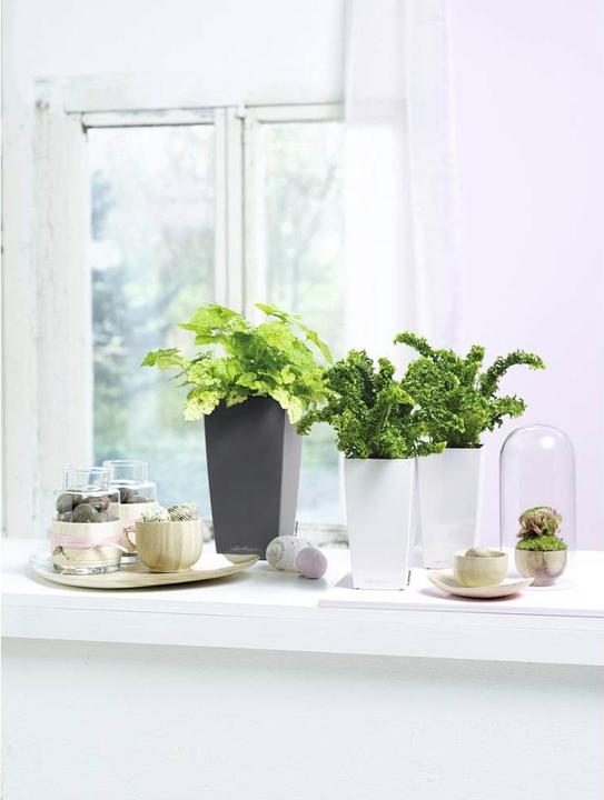 Produktbild Lechuza Mini Cubi (9.50 cm)