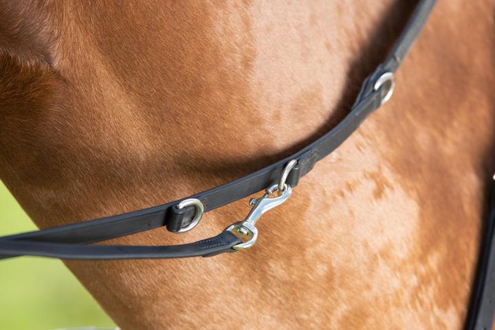 Immagine prodotto HFI Master Thiedeman