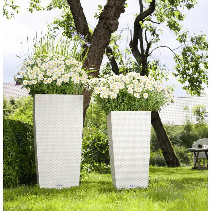 Immagine prodotto Lechuza Cubico Cottage (39.50 cm)