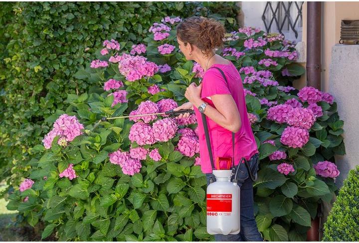 Image du produit Birchmeier Étoile du jardin 3 (3 l)