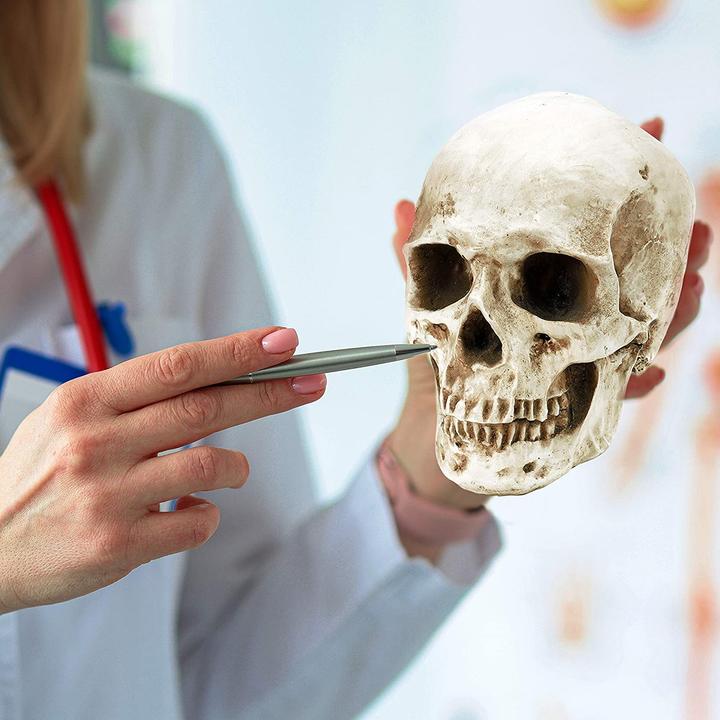 Actual product image Kurtzy Skull