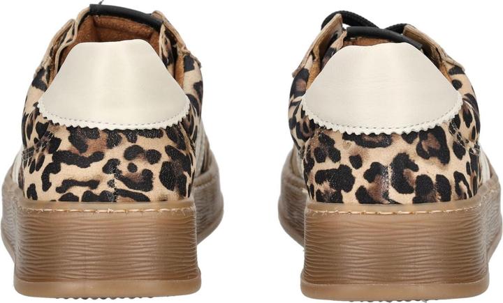 Actual product image Gabor Sneaker (38)